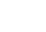 logowhitex